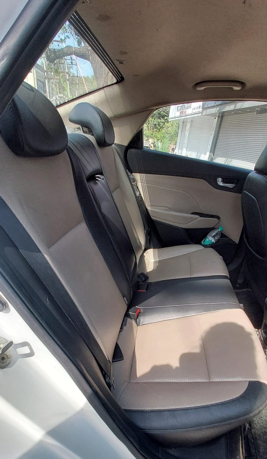 Verna image 16 Verna image 16