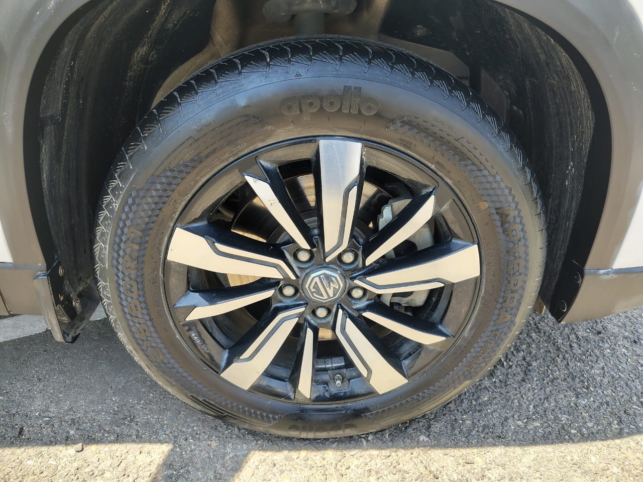 Hector image 9 Hector image 9