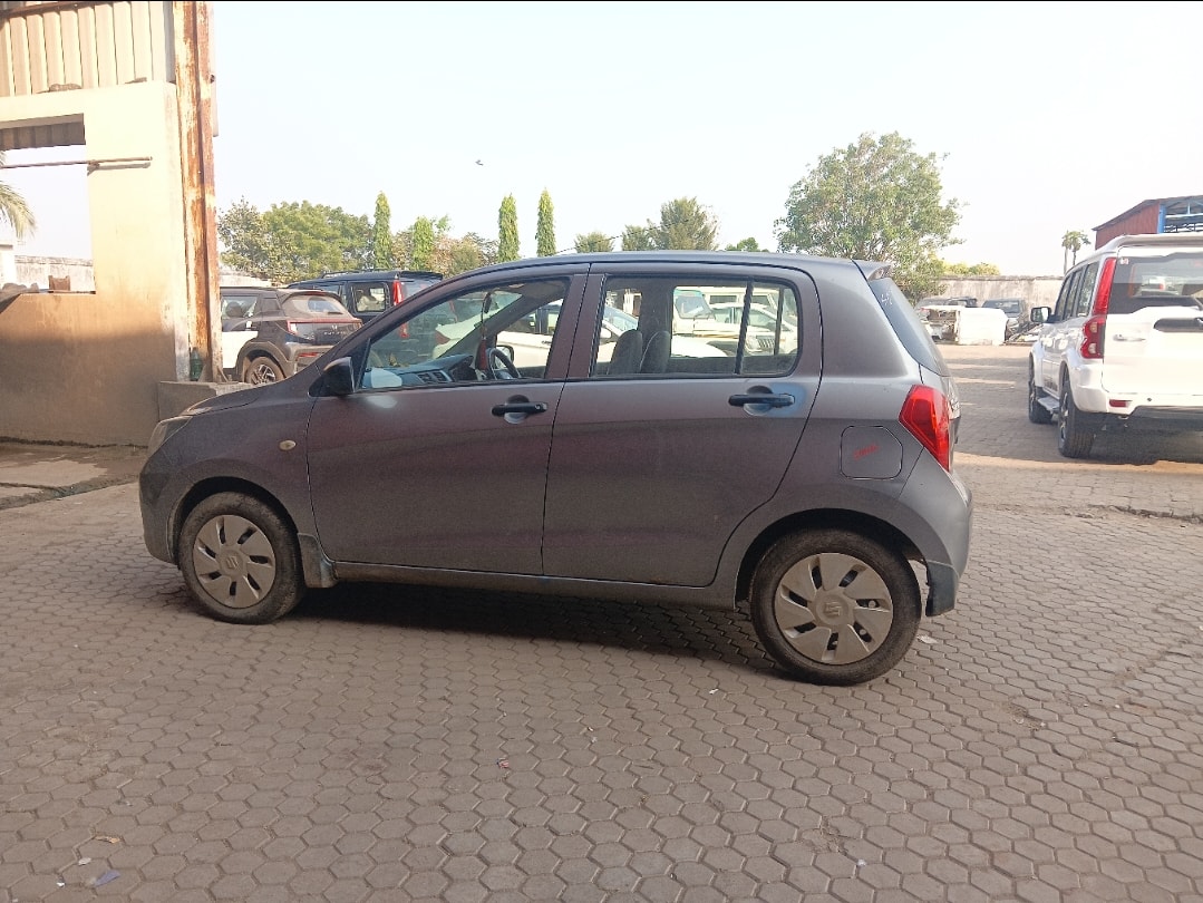 Celerio image 2 Celerio image 2