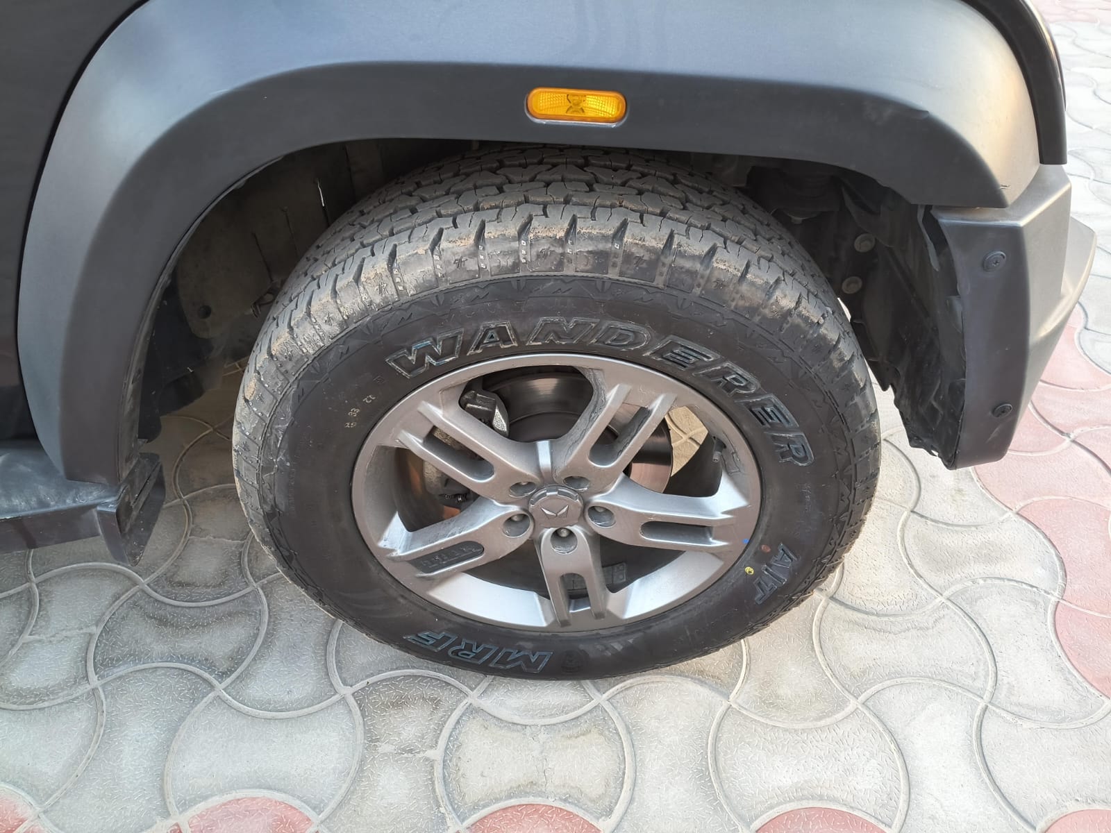 Thar image 6 Thar image 6