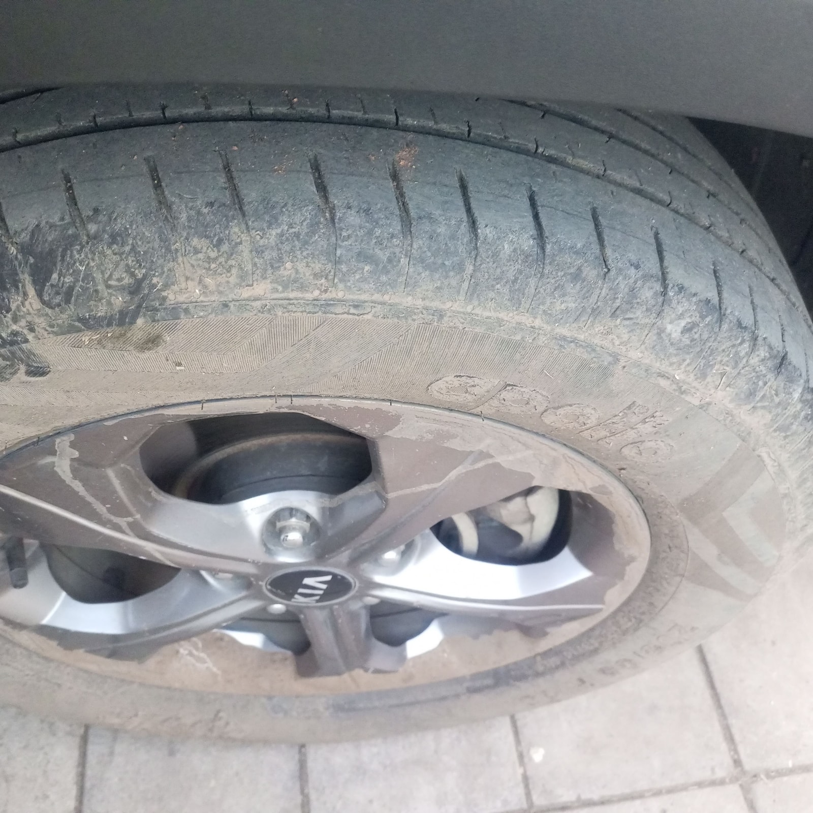 Seltos image 9 Seltos image 9