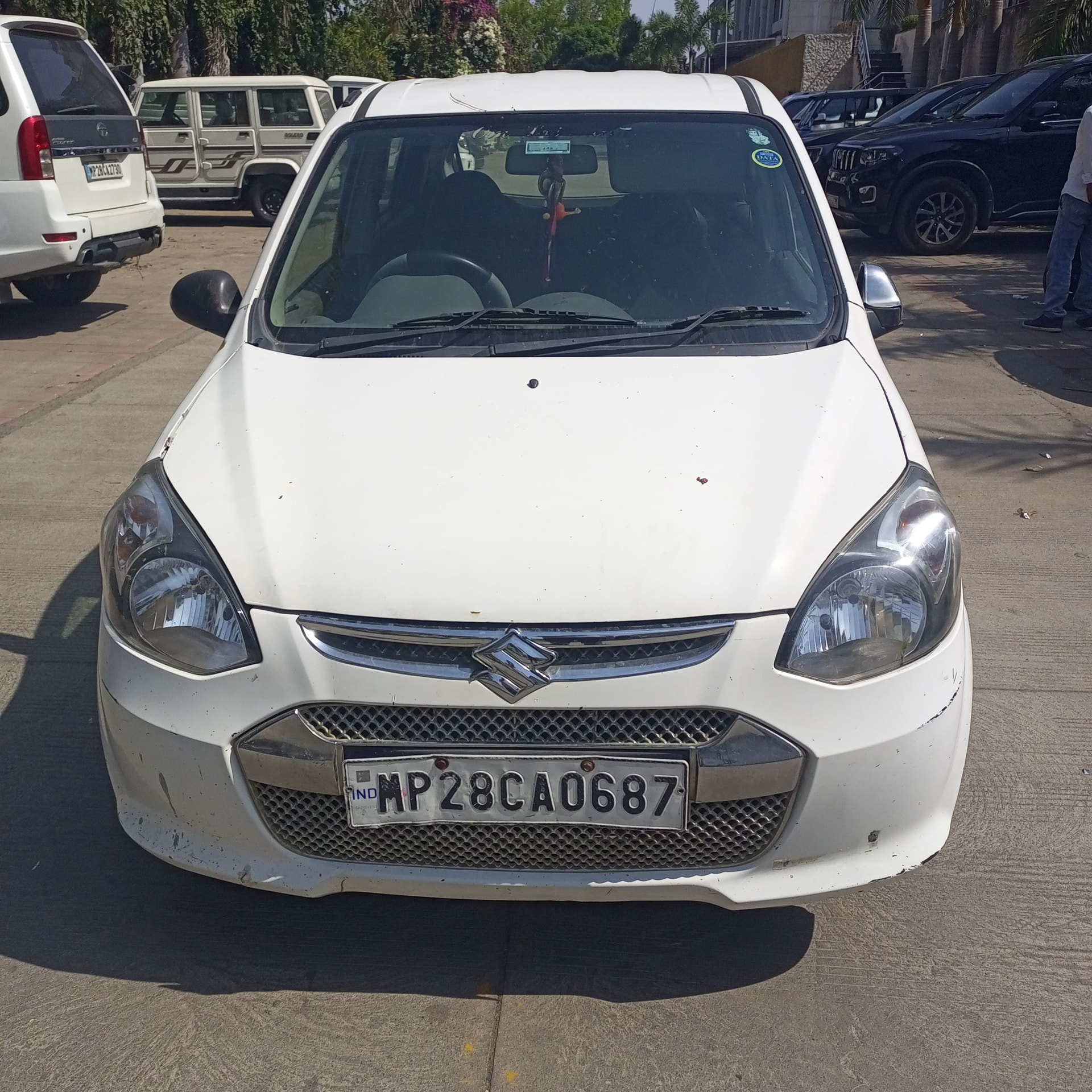 Alto 800 image 8 Alto 800 image 8