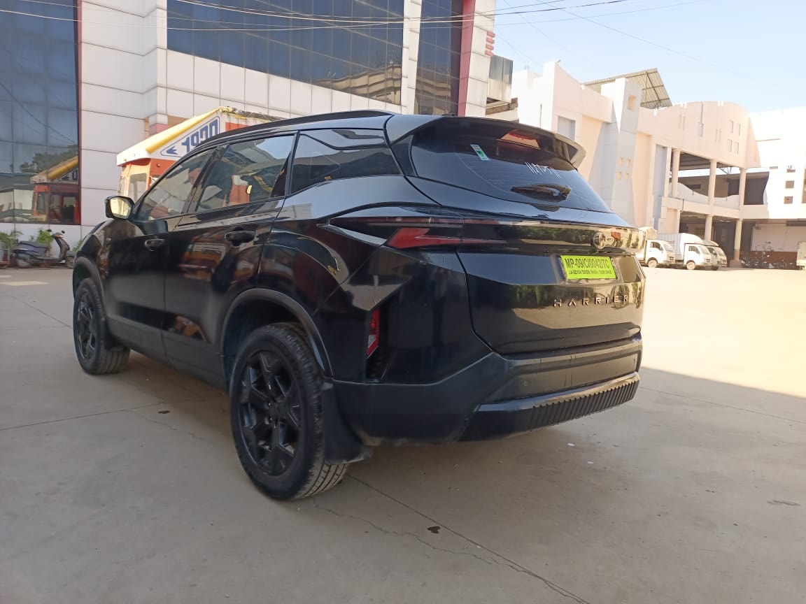 Harrier image 2 Harrier image 2