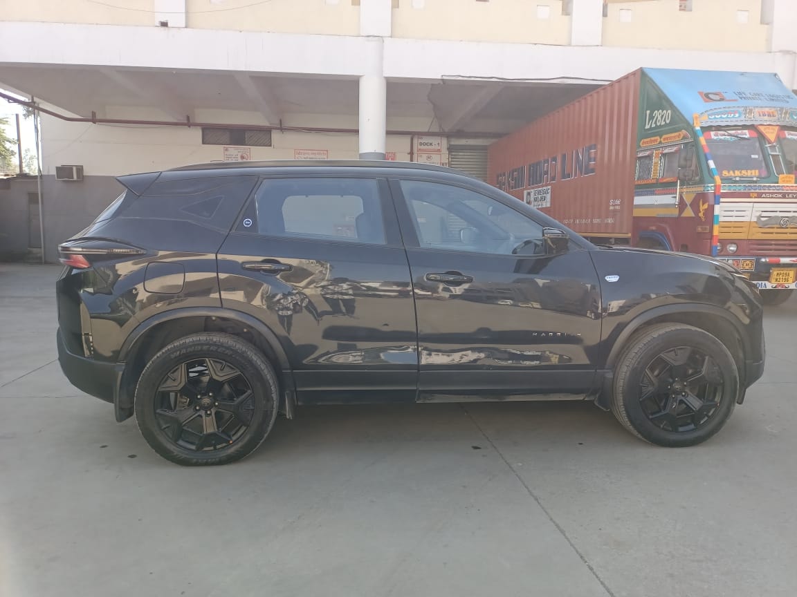 Harrier image 5 Harrier image 5