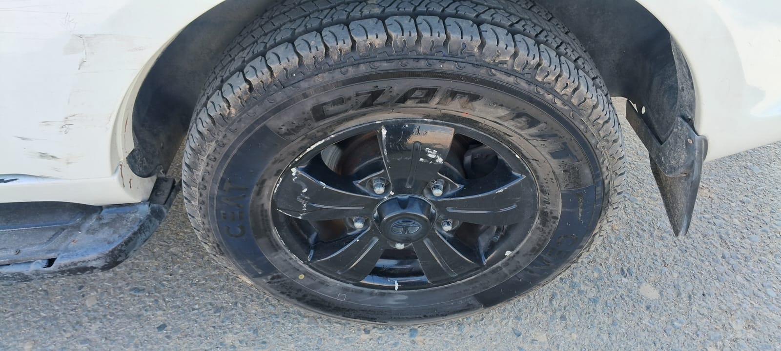 Safari image 9 Safari image 9