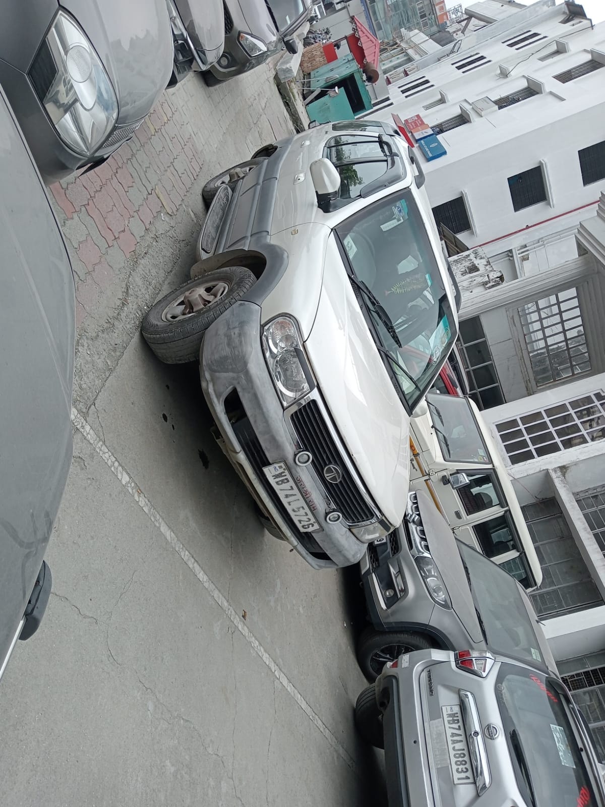 Safari image 5 Safari image 5