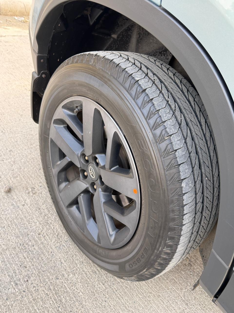 Safari image 9 Safari image 9