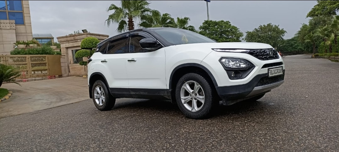 Harrier image 5 Harrier image 5