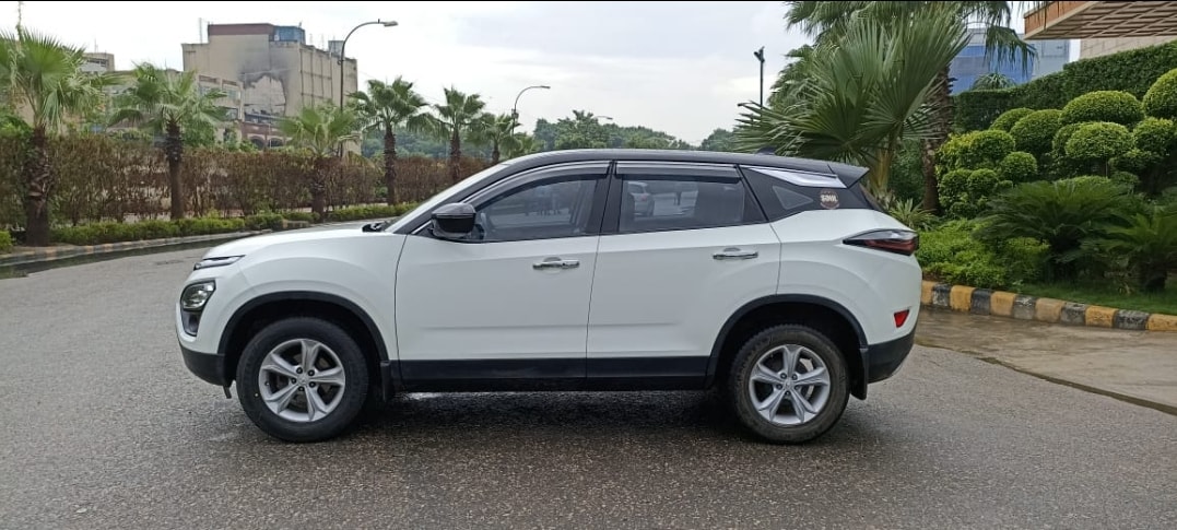 Harrier image 9 Harrier image 9