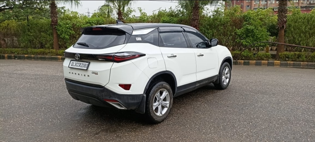 Harrier image 12 Harrier image 12