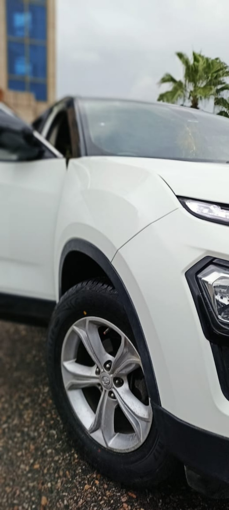 Harrier image 17 Harrier image 17