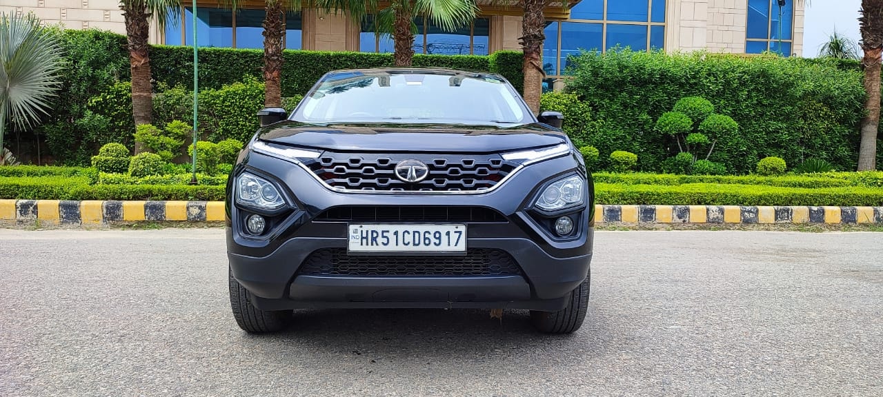 Harrier image 8 Harrier image 8