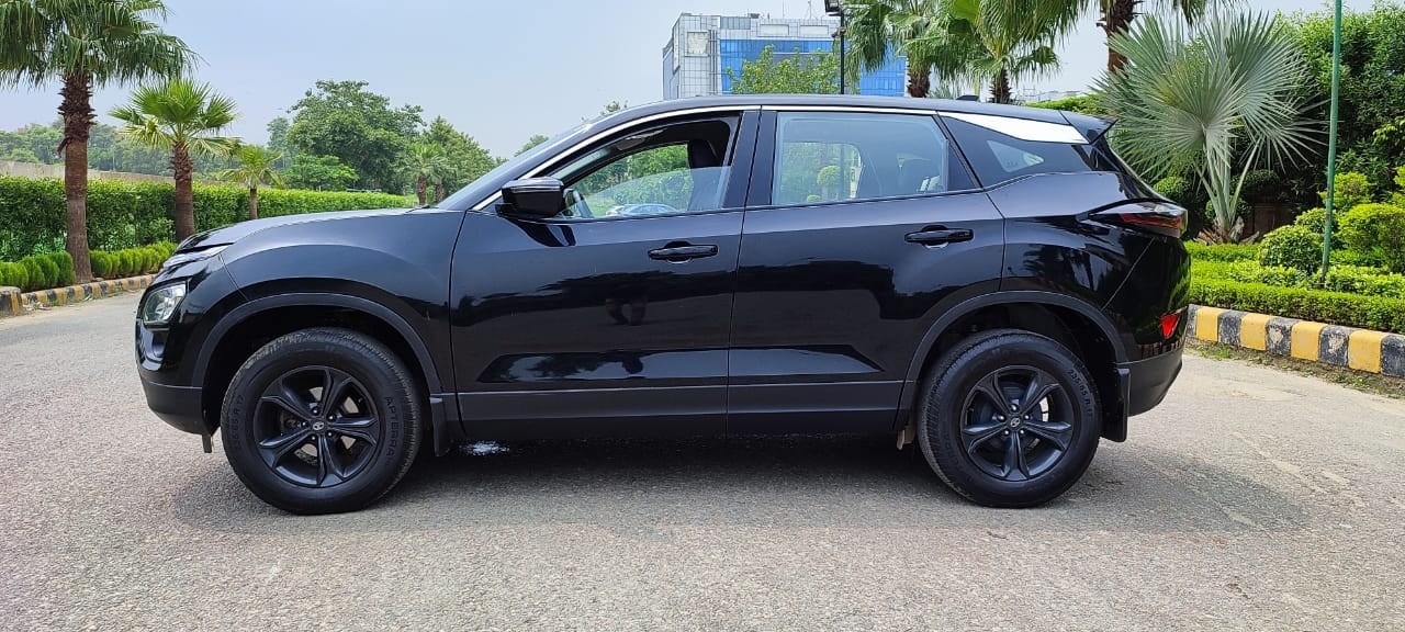 Harrier image 2 Harrier image 2