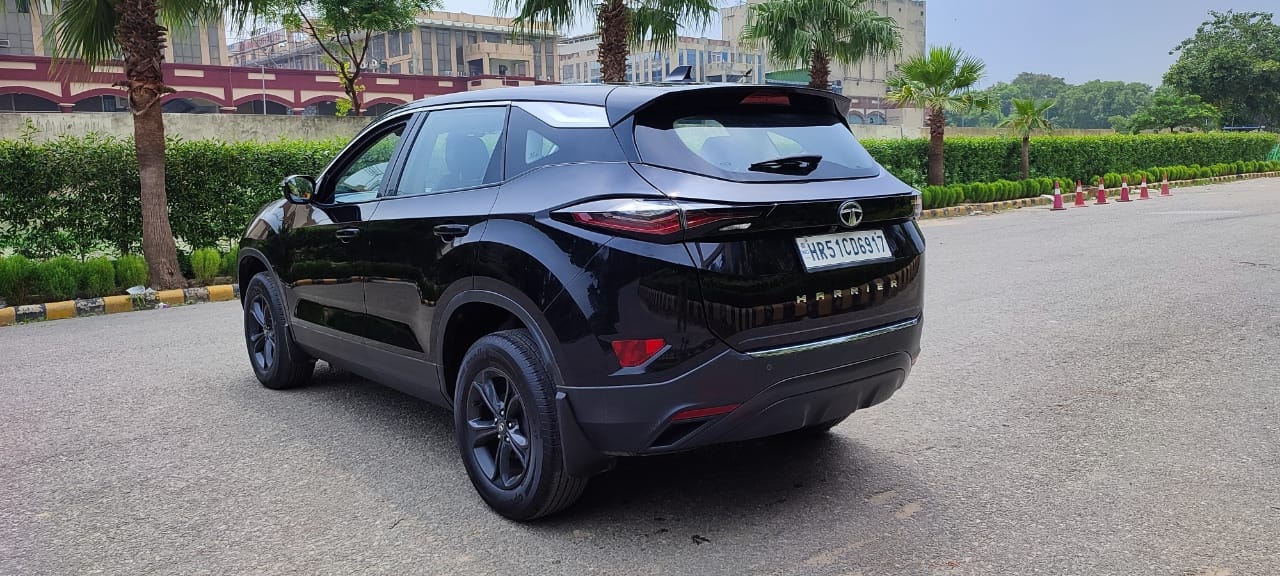 Harrier image 3 Harrier image 3