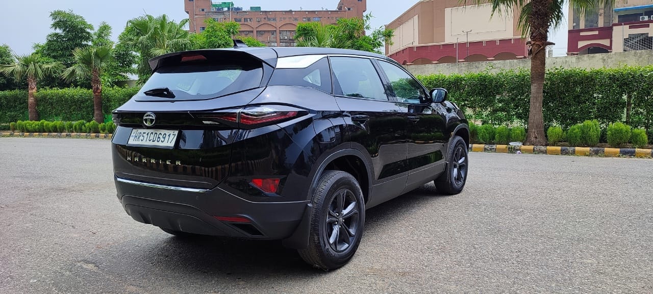 Harrier image 5 Harrier image 5