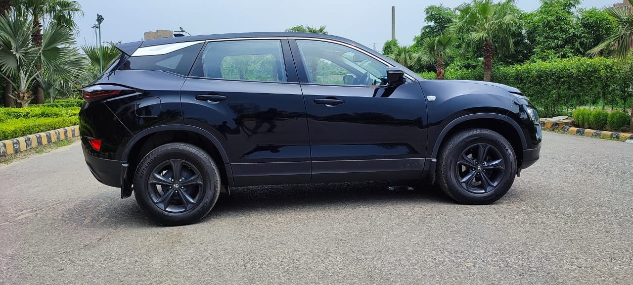 Harrier image 6 Harrier image 6