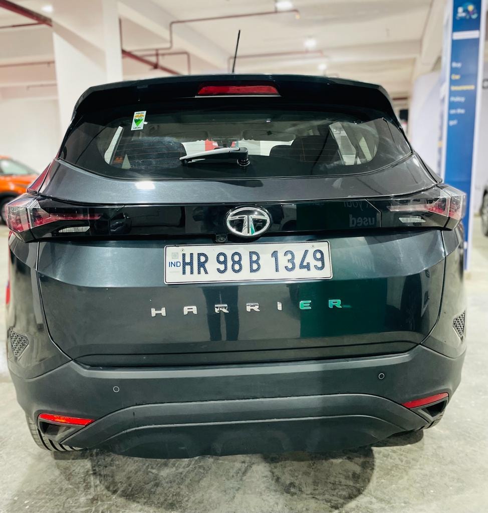 Harrier image 3 Harrier image 3