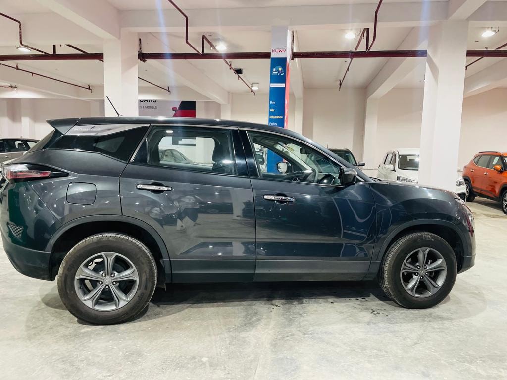 Harrier image 5 Harrier image 5