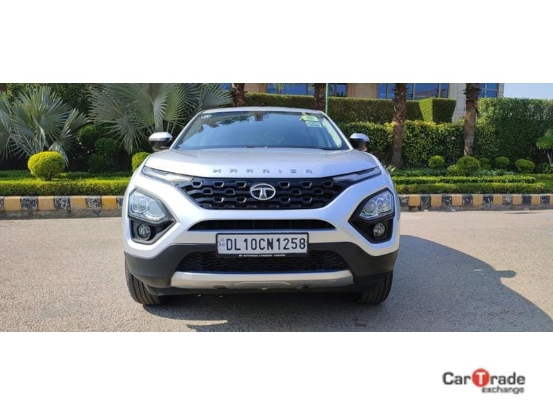 Harrier image 3 Harrier image 3