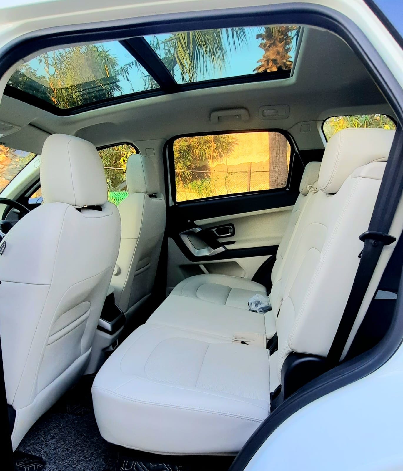 Safari image 16 Safari image 16