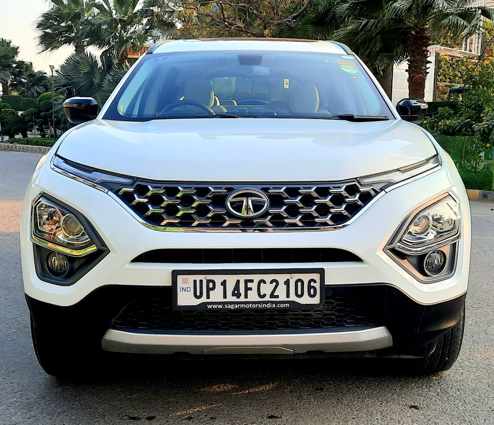 Safari image 8 Safari image 8