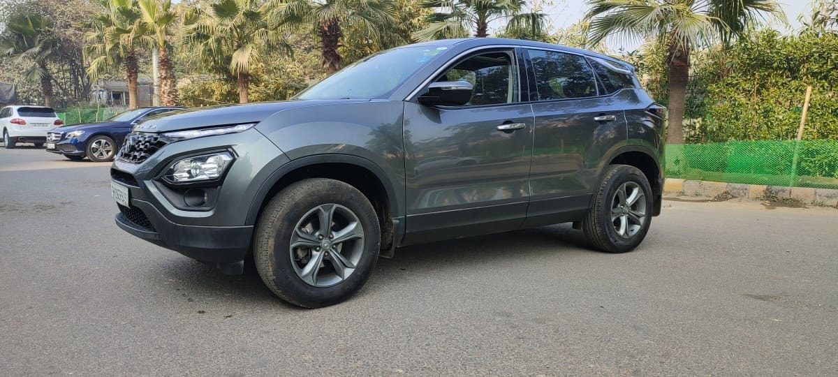 Harrier image 1 Harrier image 1