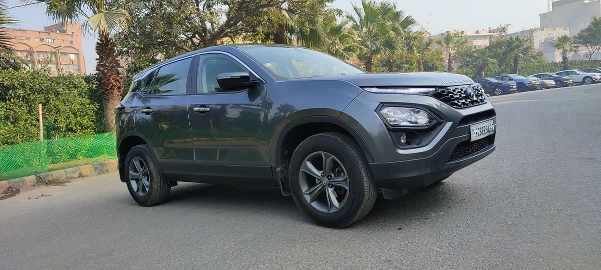 Harrier image 2 Harrier image 2