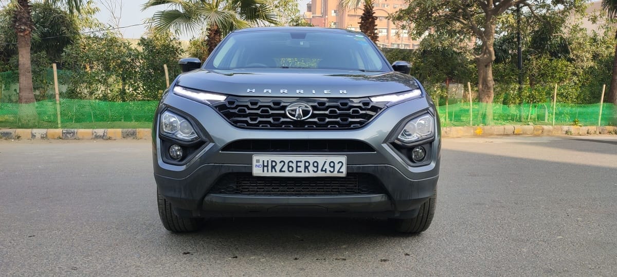 Harrier image 3 Harrier image 3