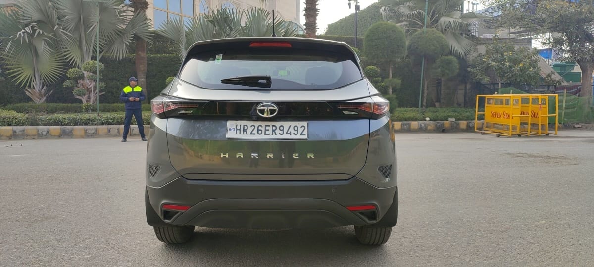 Harrier image 7 Harrier image 7