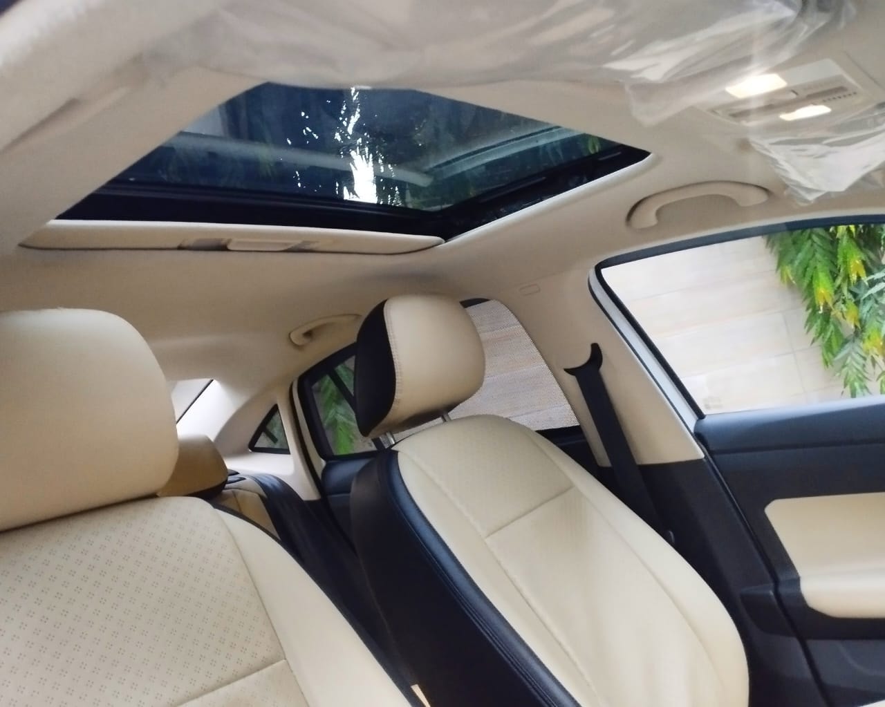 Virtus image 13 Virtus image 13