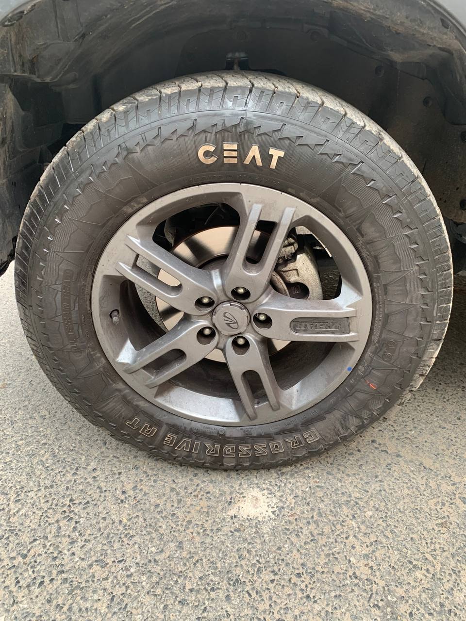 Thar image 9 Thar image 9