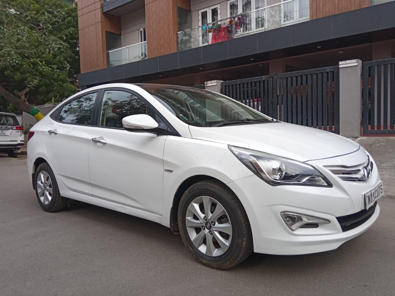 Verna image 2 Verna image 2