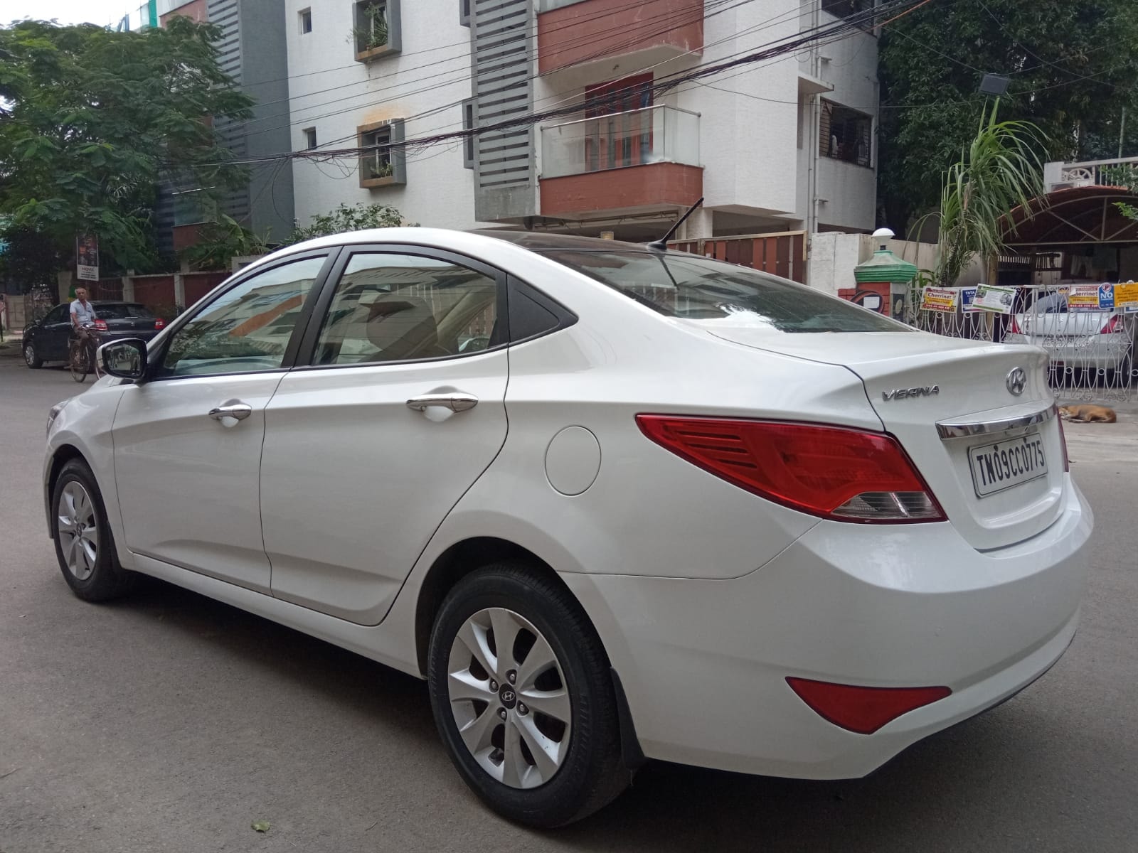 Verna image 5 Verna image 5