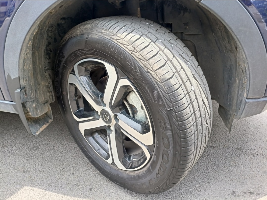 Nexon image 9 Nexon image 9