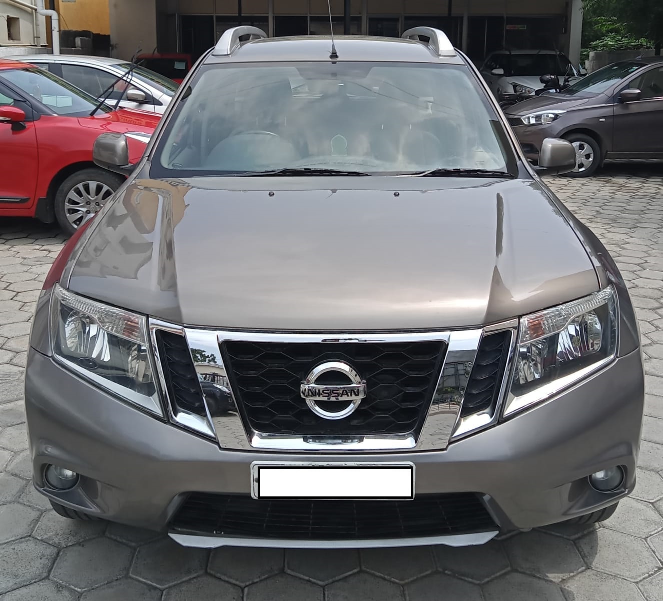 Terrano image 1 Terrano image 1