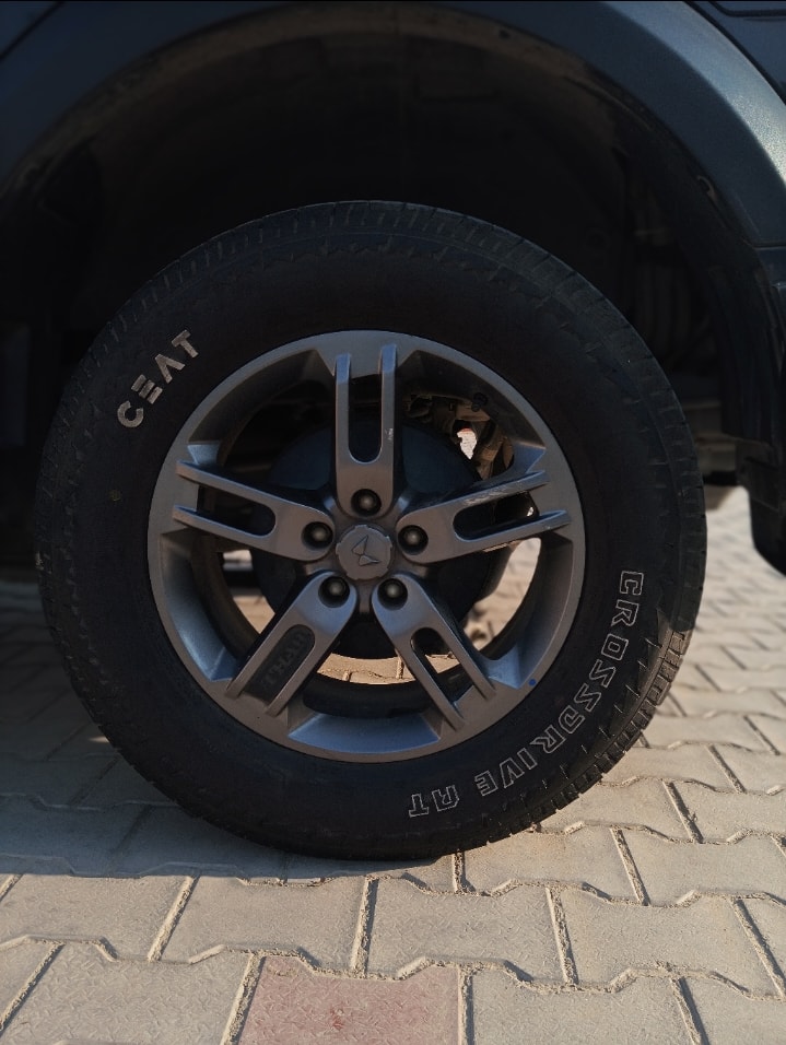 Thar image 7 Thar image 7