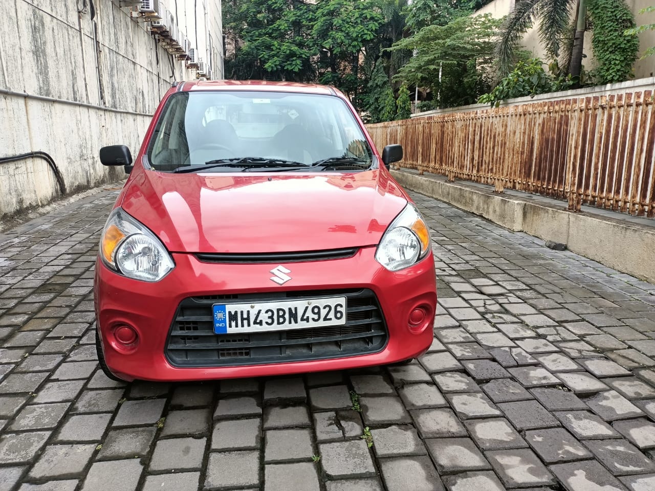 Alto 800 image 6 Alto 800 image 6