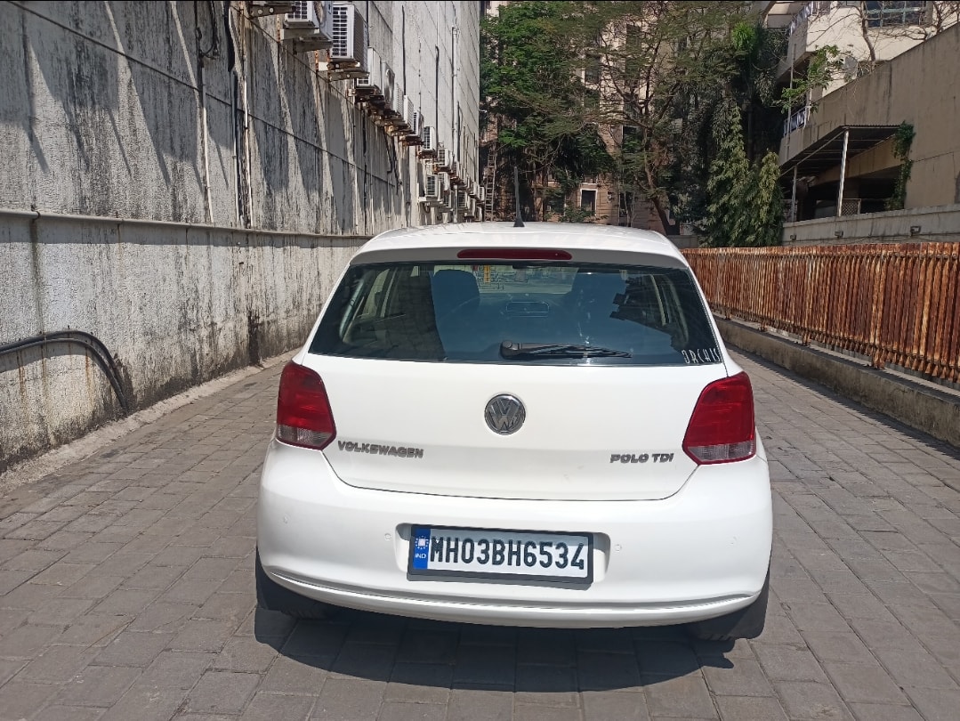 Polo image 4 Polo image 4