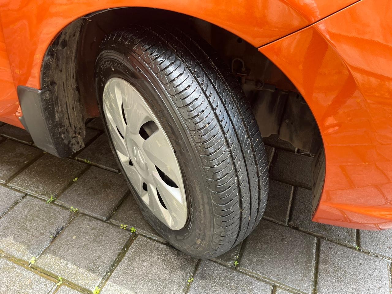 Celerio image 9 Celerio image 9