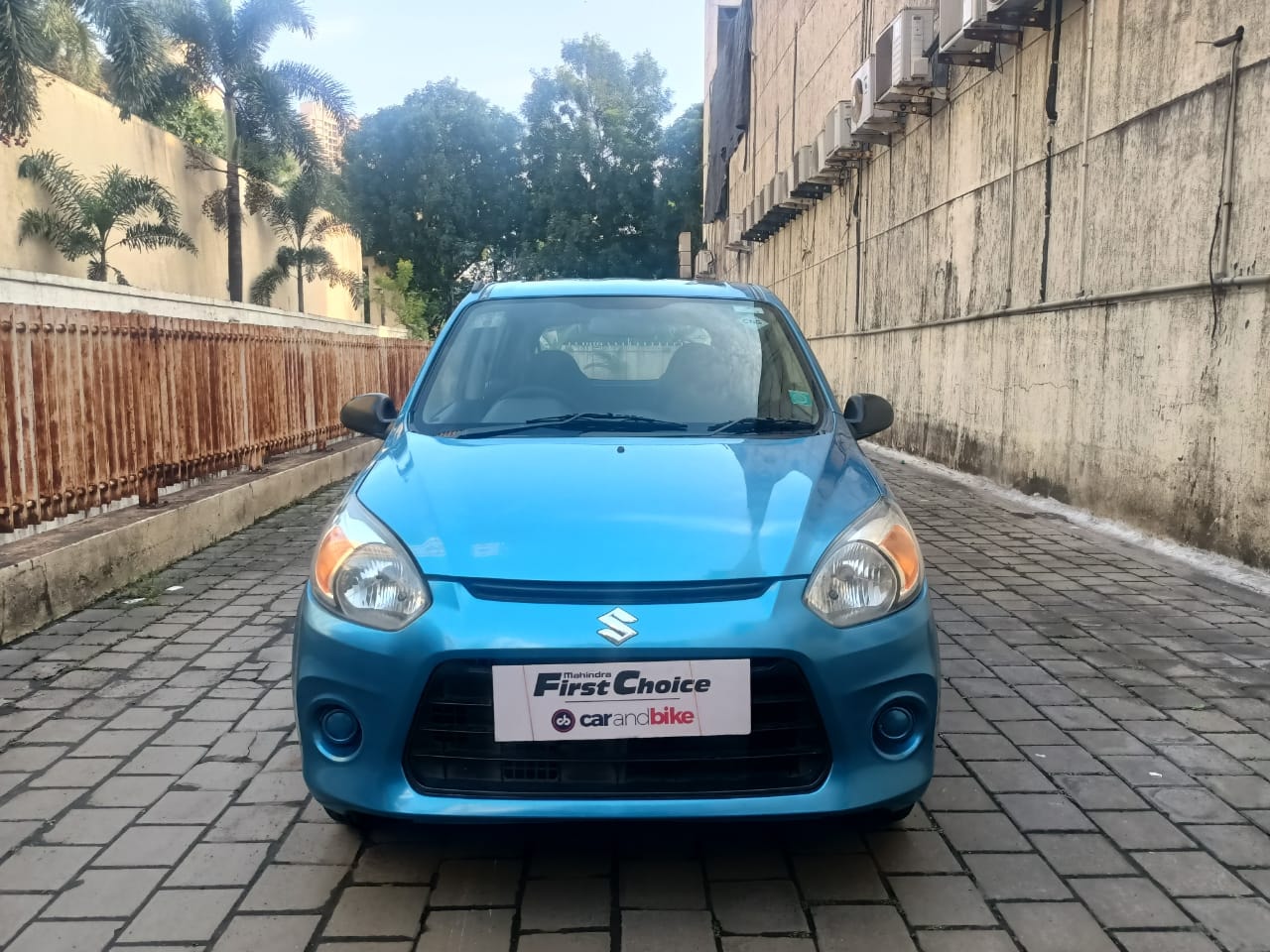 Alto 800 image 3 Alto 800 image 3