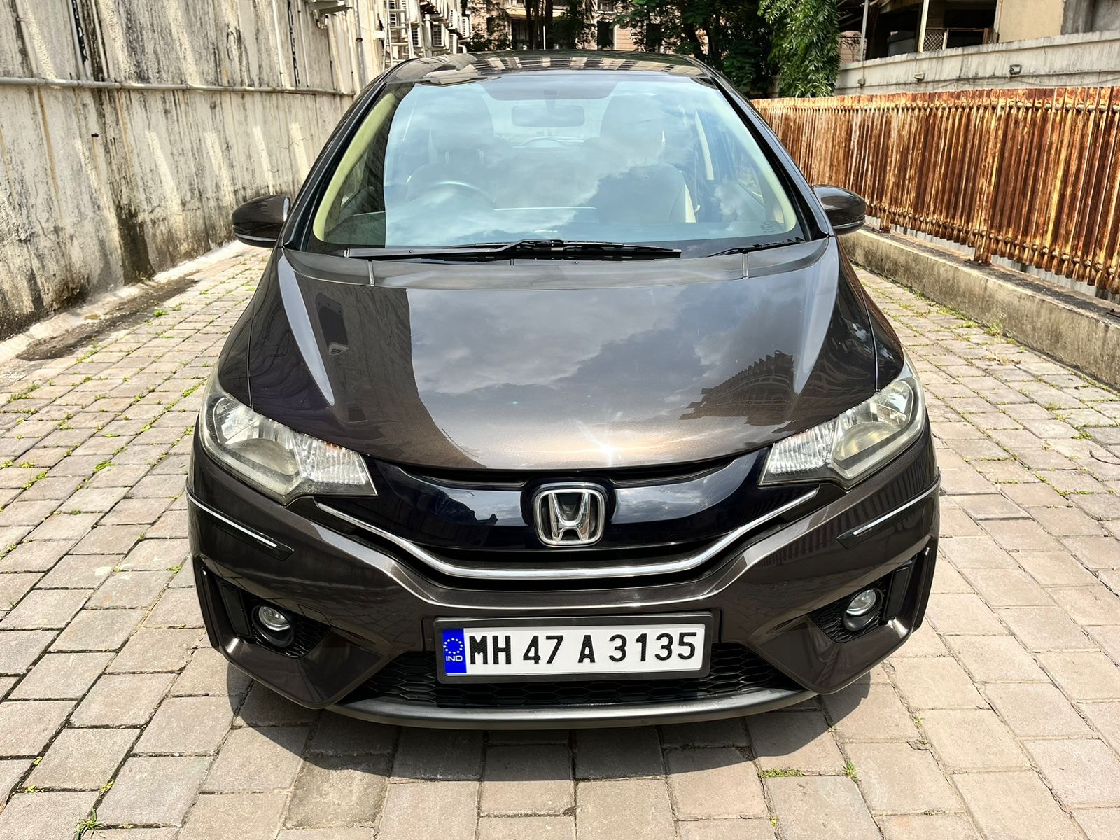 Jazz image 3 Jazz image 3