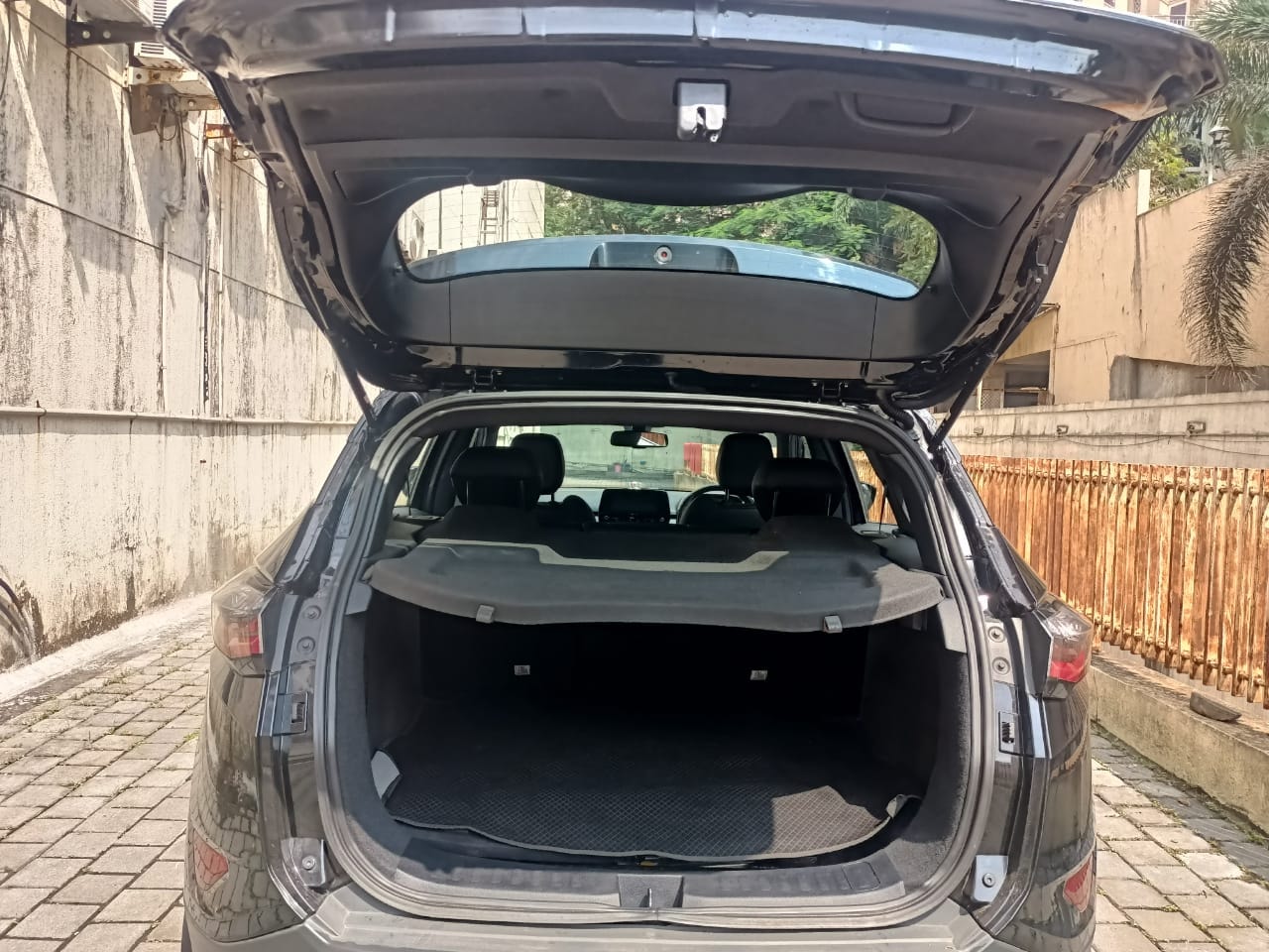 Harrier image 5 Harrier image 5