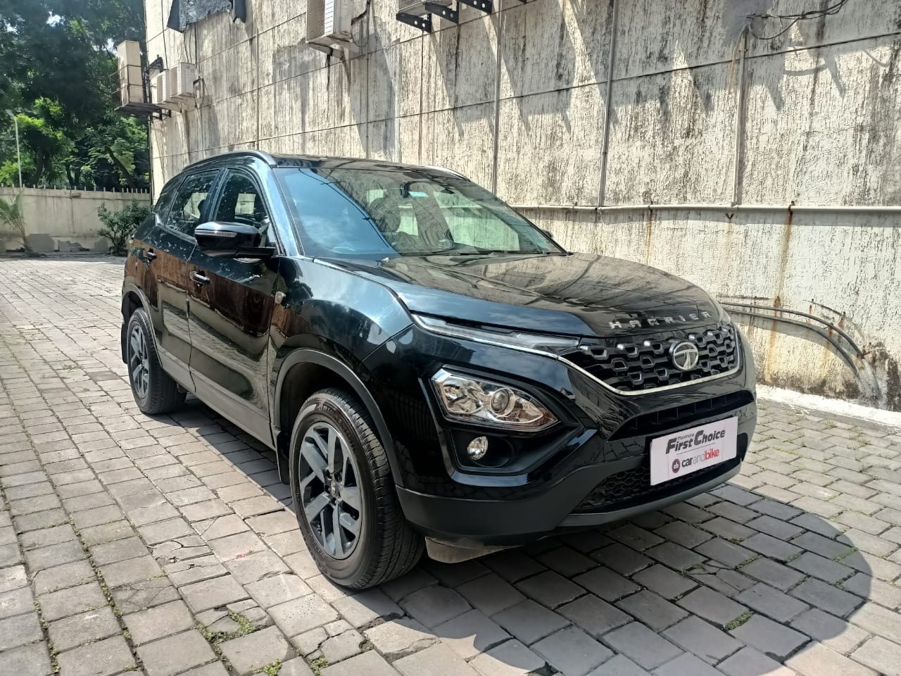 Harrier image 7 Harrier image 7