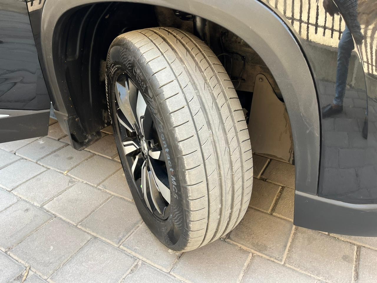 Hector image 9 Hector image 9