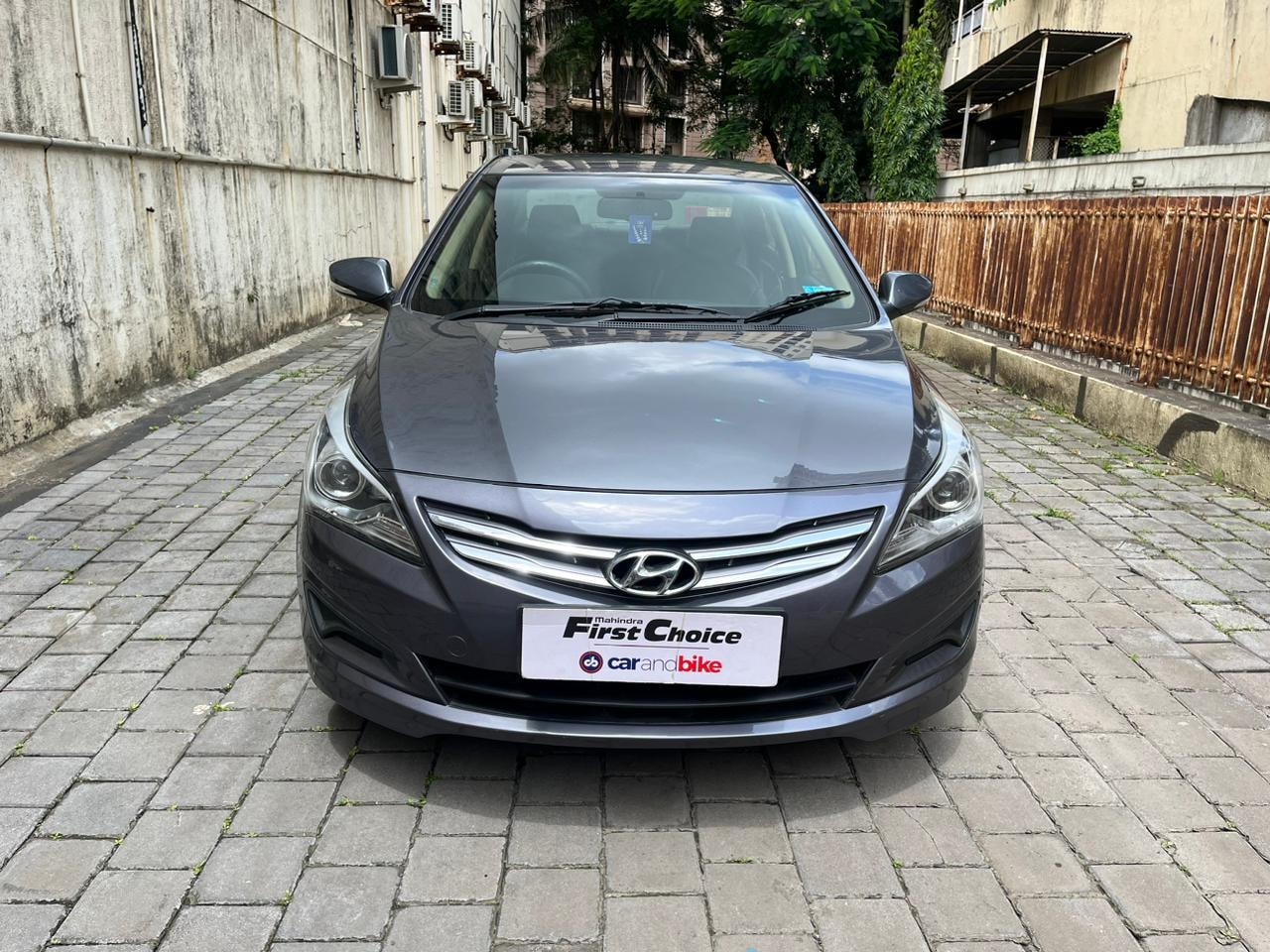 Verna image 1 Verna image 1