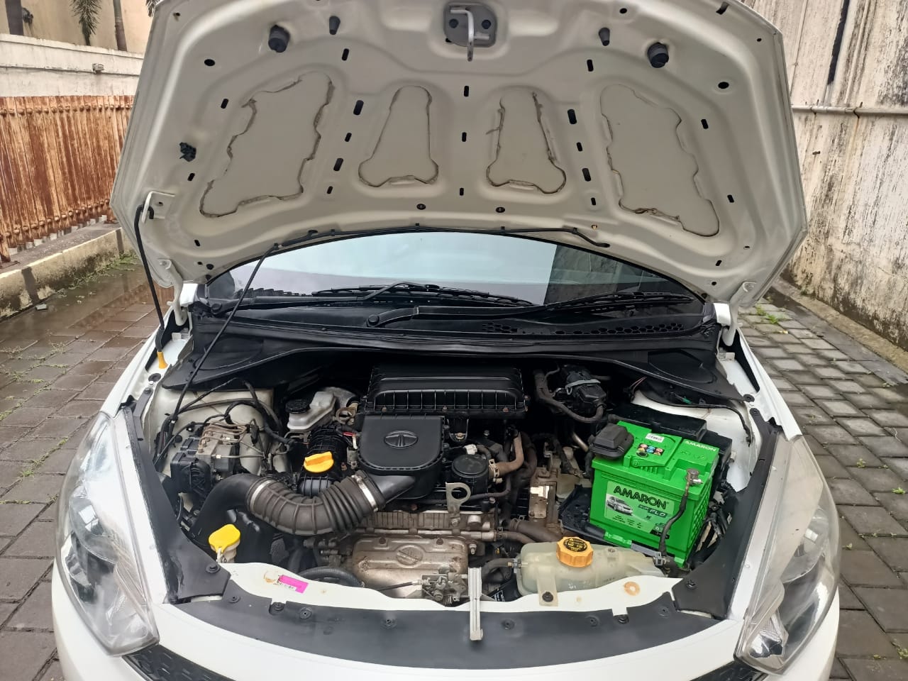 Tiago image 5 Tiago image 5