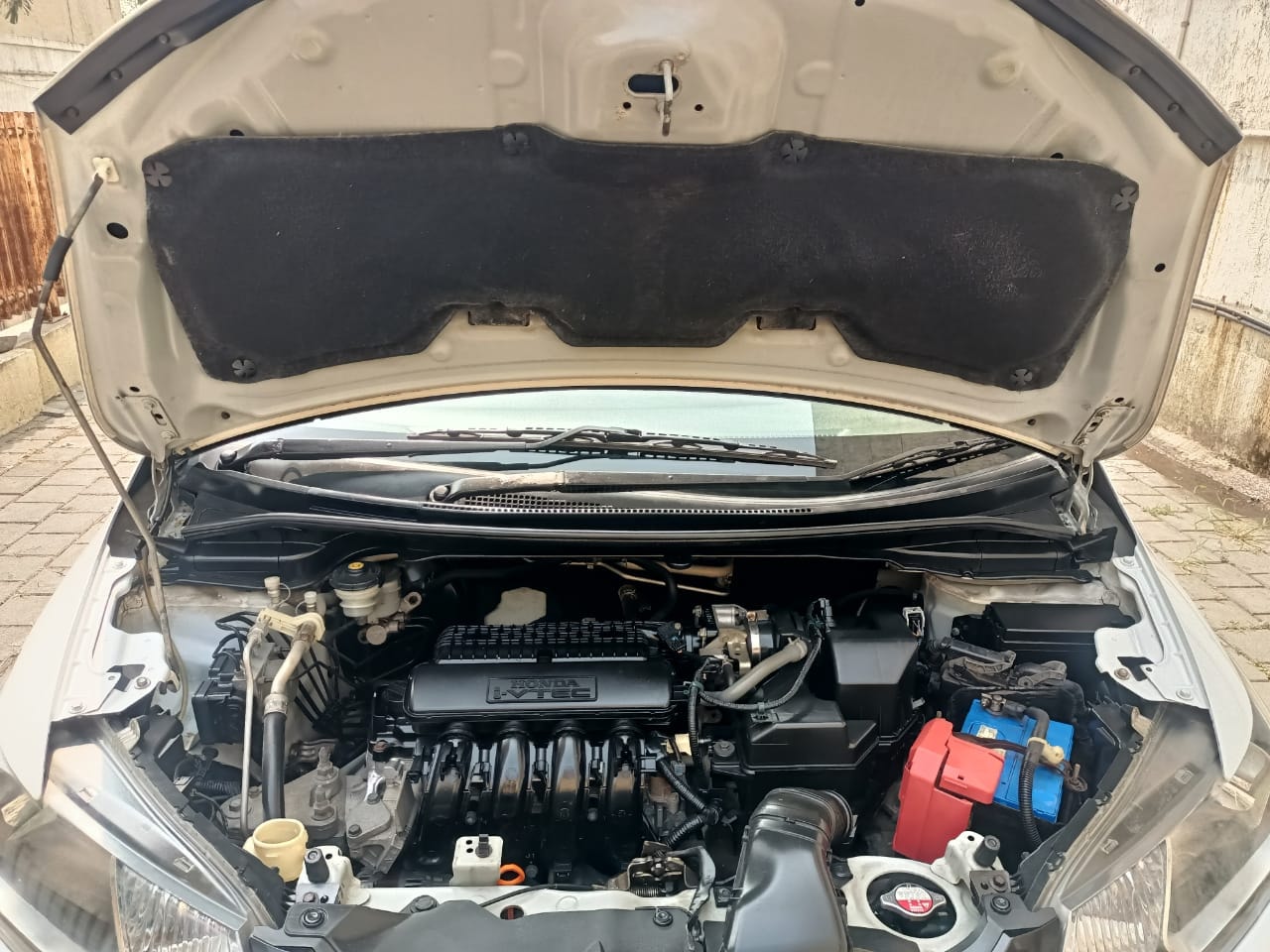 Jazz image 14 Jazz image 14