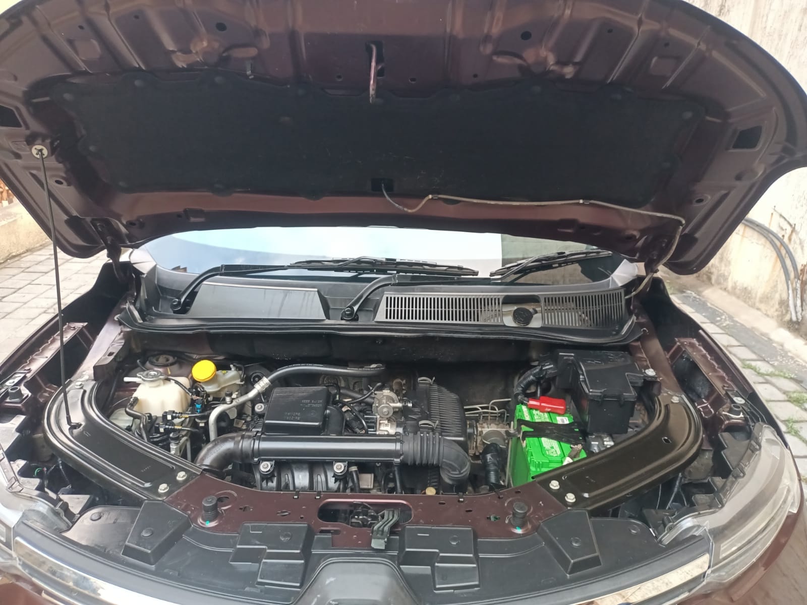 Kiger image 15 Kiger image 15