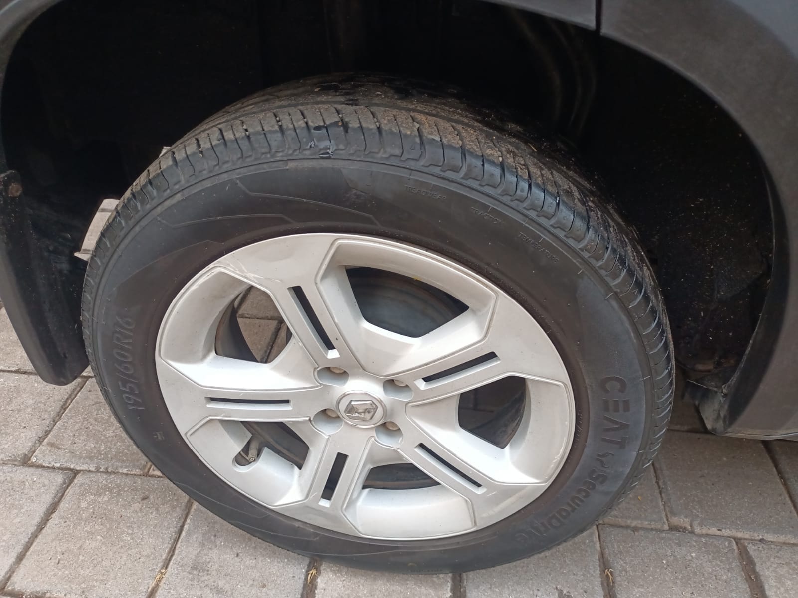 Kiger image 9 Kiger image 9