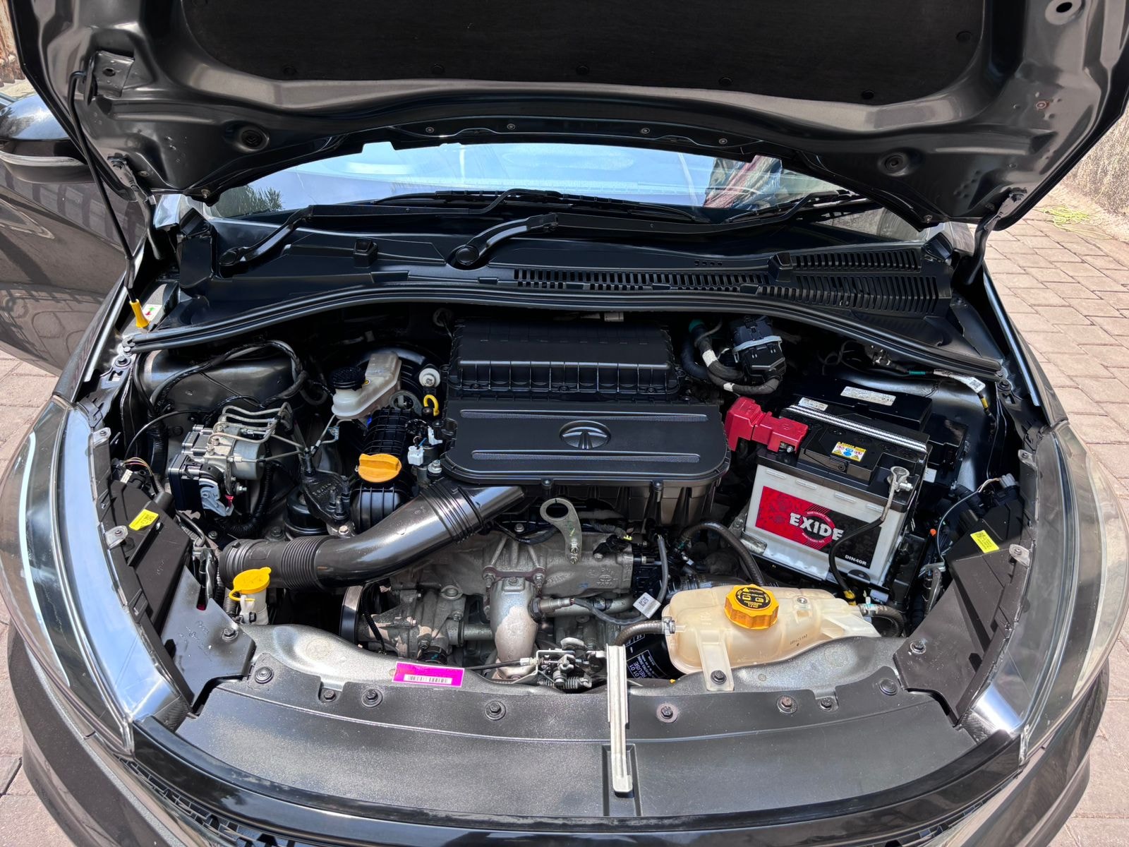 Tiago image 5 Tiago image 5